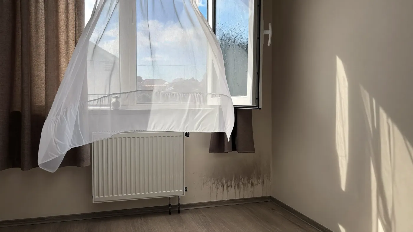 Evde nem ve rutubet kokusu nasıl geçer