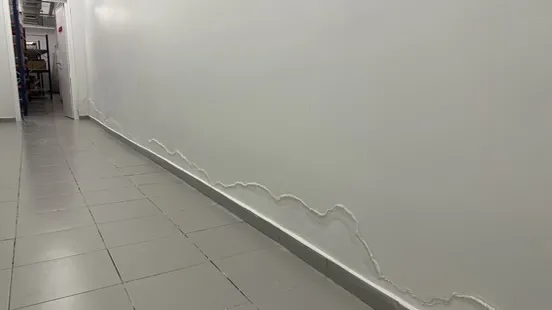 Nem ve küf farkı sağlık riskleri